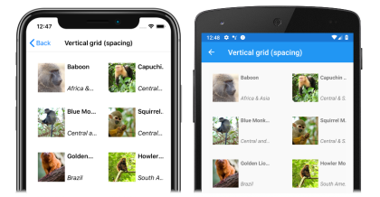 Capture d’écran d’un CollectionView avec espacement d’élément, sur Android