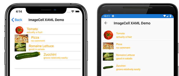 Exemple ImageCell personnalisé « Exemple ImageCell personnalisé »