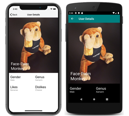 Page de détails de l’application en thème Capture d’écran de la page de détails d’une application en thème, sur iOS et Android