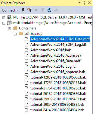 Capture d'écran du navigateur de stockage des conteneurs Azure de SQL Server Management Studio montrant les données et les fichiers d'historique de la nouvelle base de données.