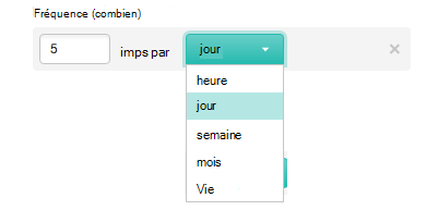 Capture d’écran montrant le format des paramètres de fréquence de l’API.
