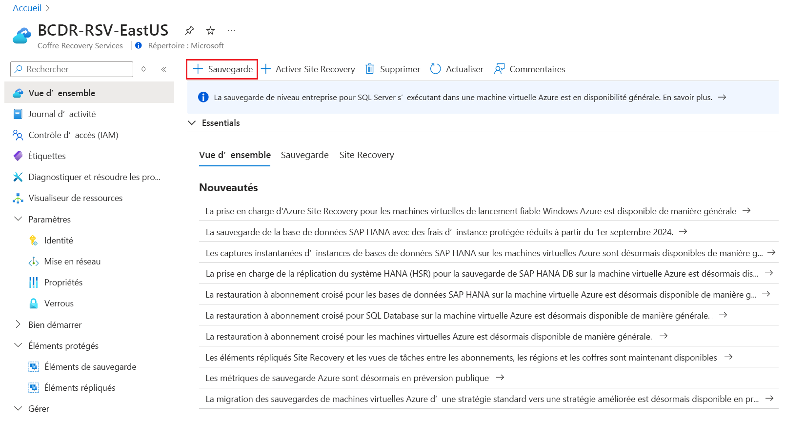 Capture d’écran montrant la configuration de la Sauvegarde pour Azure Files.