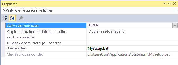 Visual Studio CopyToOutput pour fichier batch SetupEntryPoint