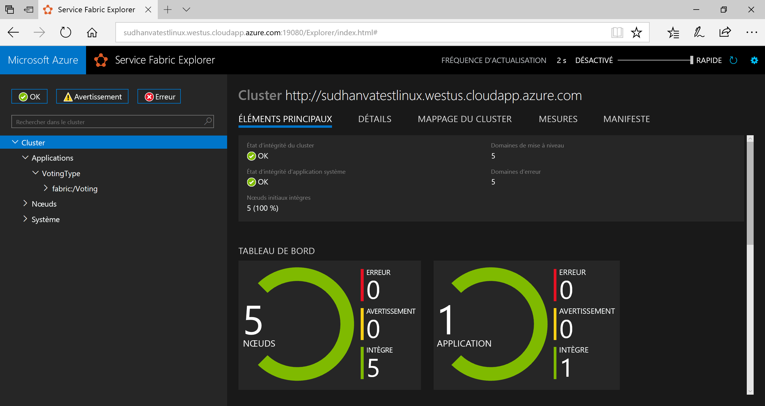 Service Fabric Explorer