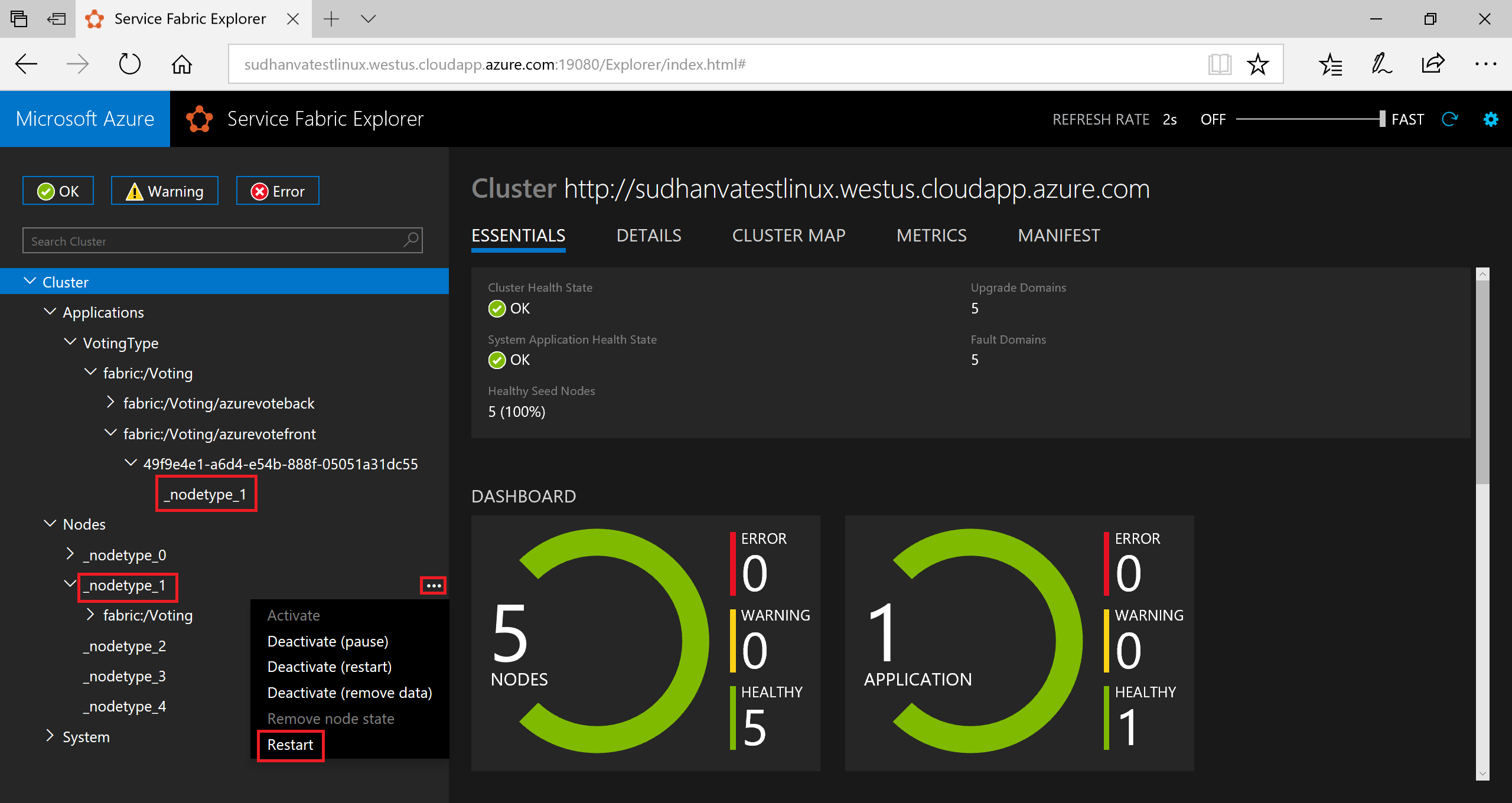 Affichage du nœud dans Service Fabric Explorer