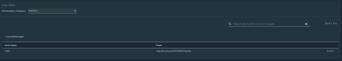 Capture d’écran de Application Live View montrant la page Caches HTTP.