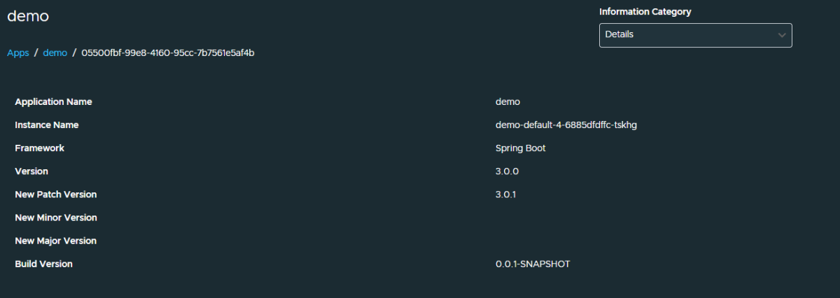 Capture d’écran de Application Live View montrant la page Détails d’une application de démonstration.