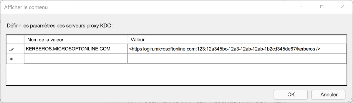 Capture d’écran de la boîte de dialogue « Définir les paramètres du serveur proxy KDC ». Un tableau permet l’entrée de plusieurs lignes. Chaque ligne est constituée d’un nom de valeur et d’une valeur.