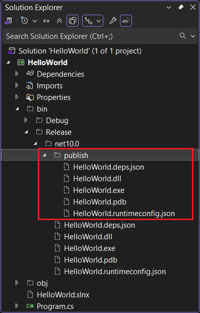 Solution Explorer affichant les fichiers publiés.