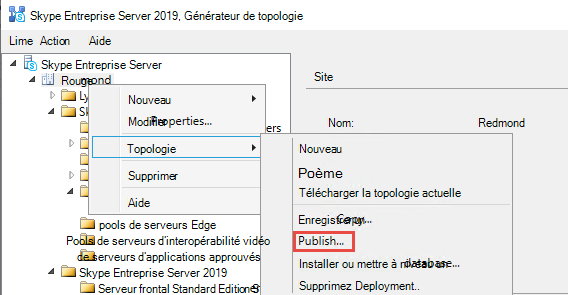 Capture d’écran de la topologie de publication.