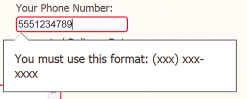 Using the Pattern Attribute to Specify a Validation Expression