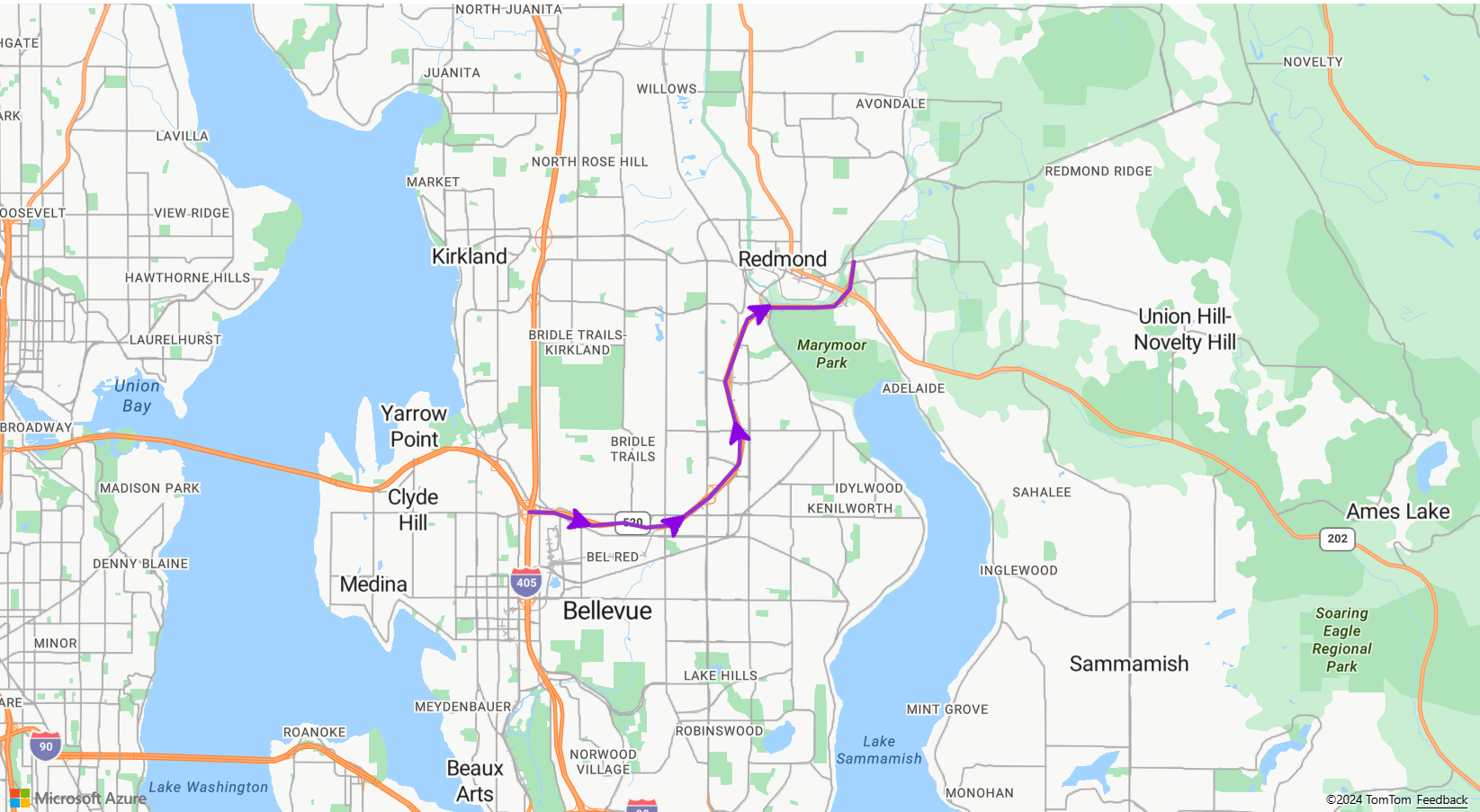 Une capture d’écran montrant une couche de lignes sur une carte Azure Maps avec des symboles de flèches le long de la ligne.