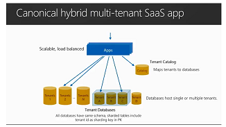 Application SaaS multilocataire hybride Canonical