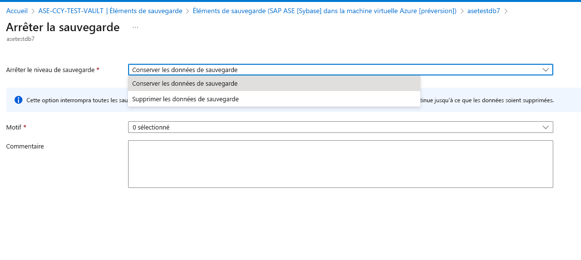 Capture d’écran montrant comment conserver les données de sauvegarde.