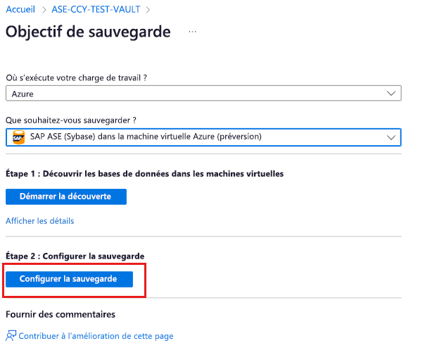 Capture d’écran montrant comment démarrer la configuration de la sauvegarde.