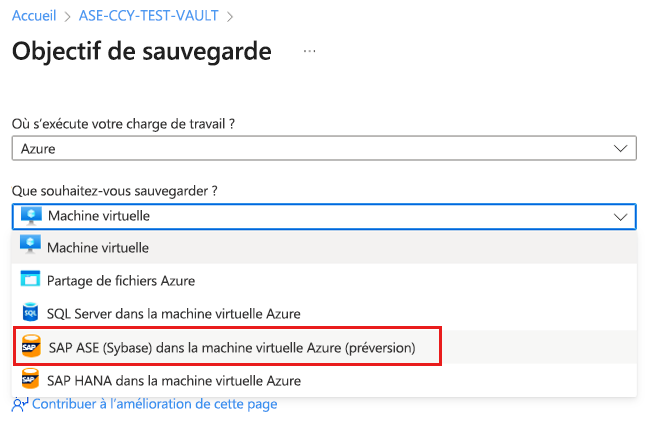 Capture d’écran montrant la sélection du type de source de données.