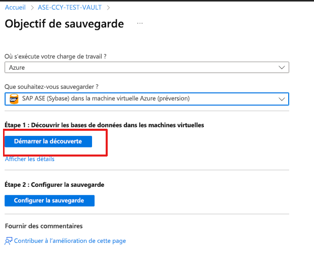 Capture d’écran montrant comment démarrer la découverte de la base de données.