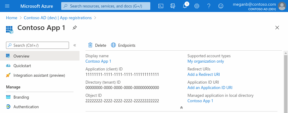 Capture d’écran du portail Azure dans un navigateur web, montrant le volet Vue d’ensemble d’une inscription d’application.
