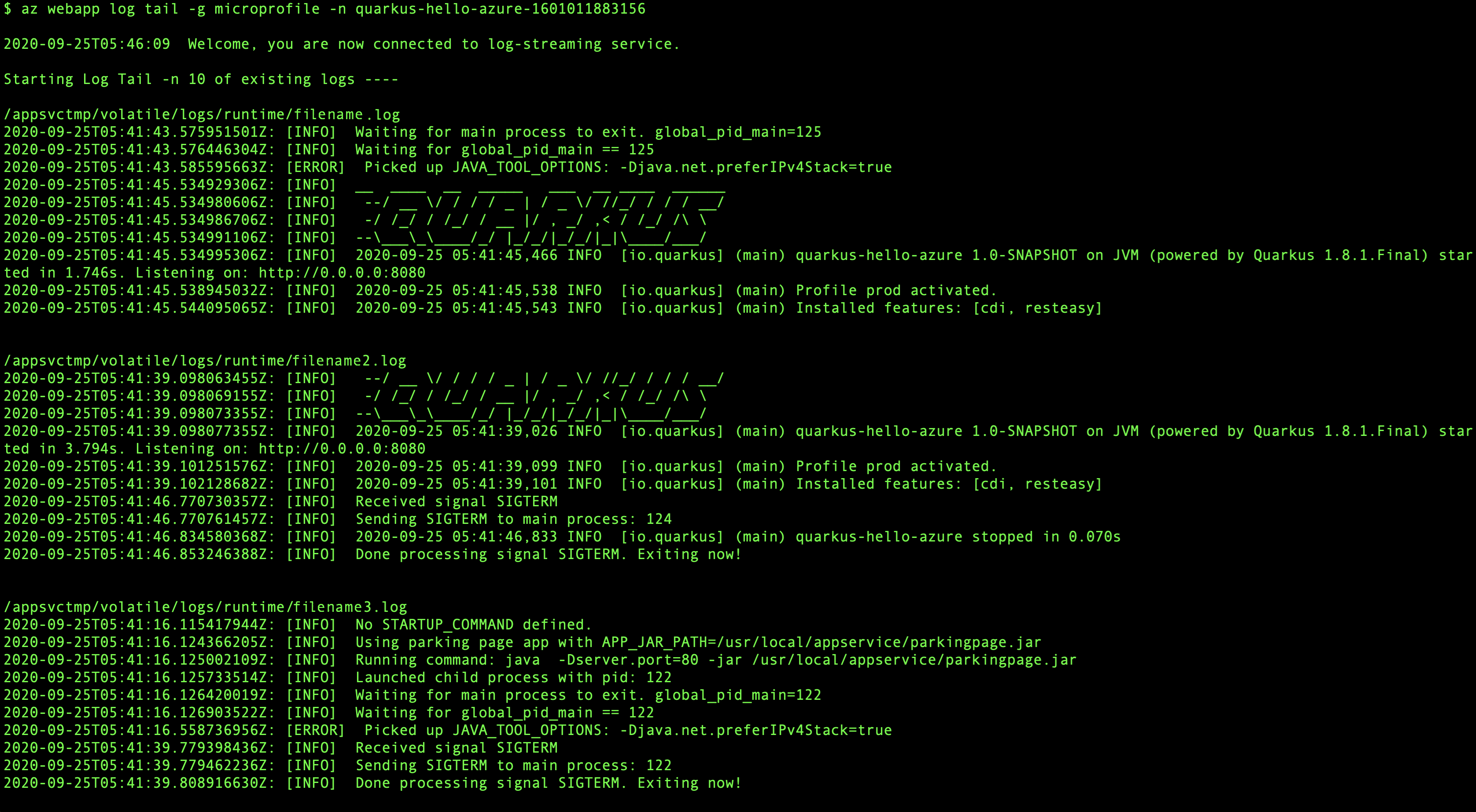 Capture d’écran de la fenêtre de terminal montrant le flux de journal.
