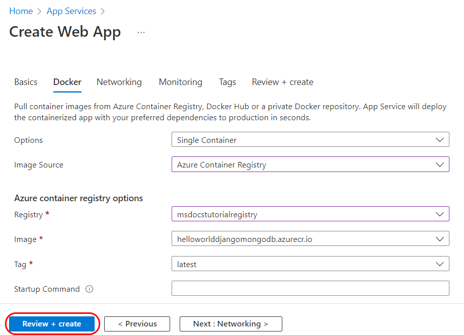 Capture d’écran montrant comment remplir les informations de déploiement Docker sur une application web dans le portail Azure.