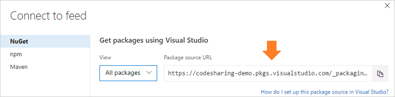 A screenshot showing the package source URL in TFS.