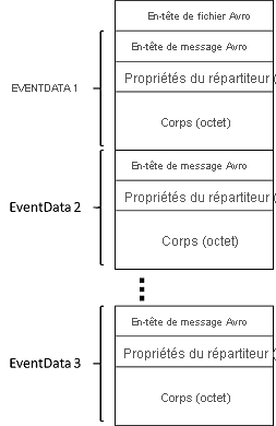 Image montrant la structure des données capturées