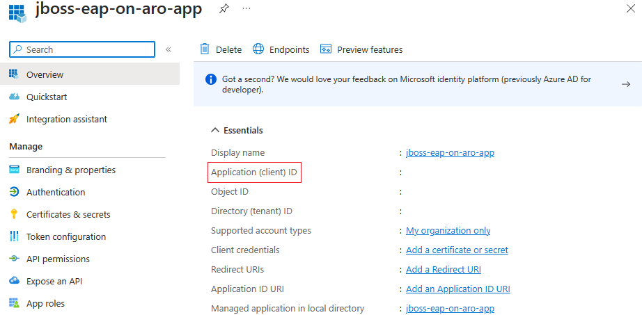 Capture d’écran du portail Azure montrant l’ID client du principal de service.