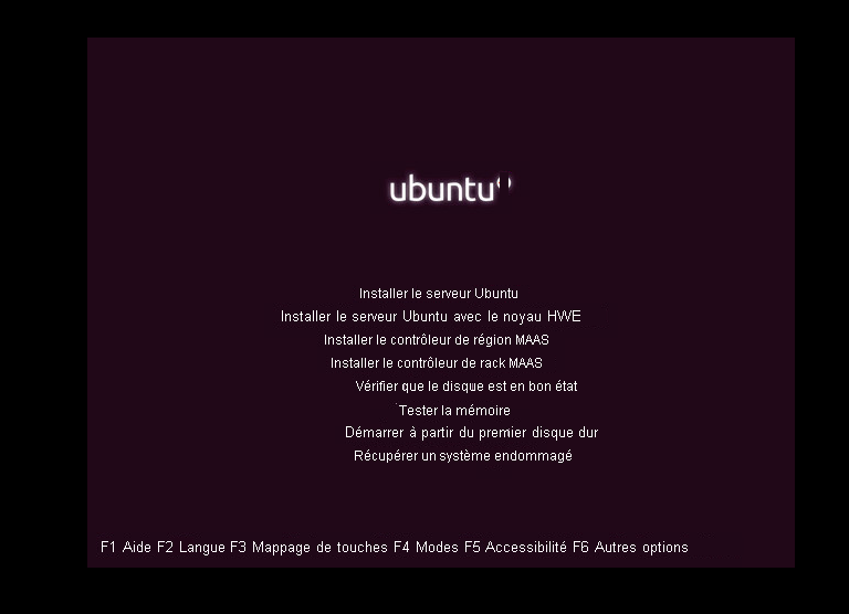 Sélectionner l’option d’installation du serveur Ubuntu