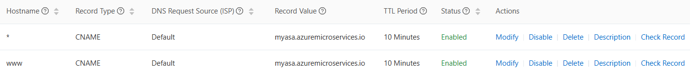 Capture d’écran de la page Enregistrements DNS montrant l’instance Azure Spring Apps.