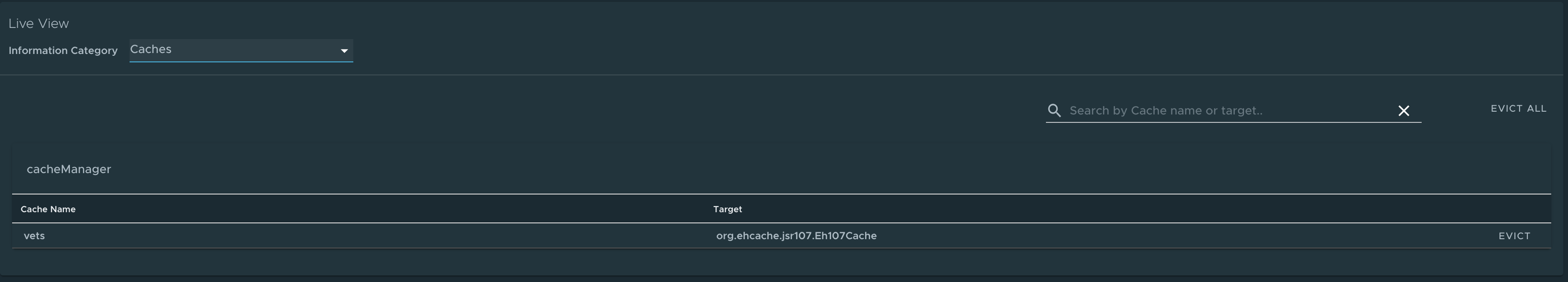 Capture d’écran de Application Live View montrant la page Caches HTTP.