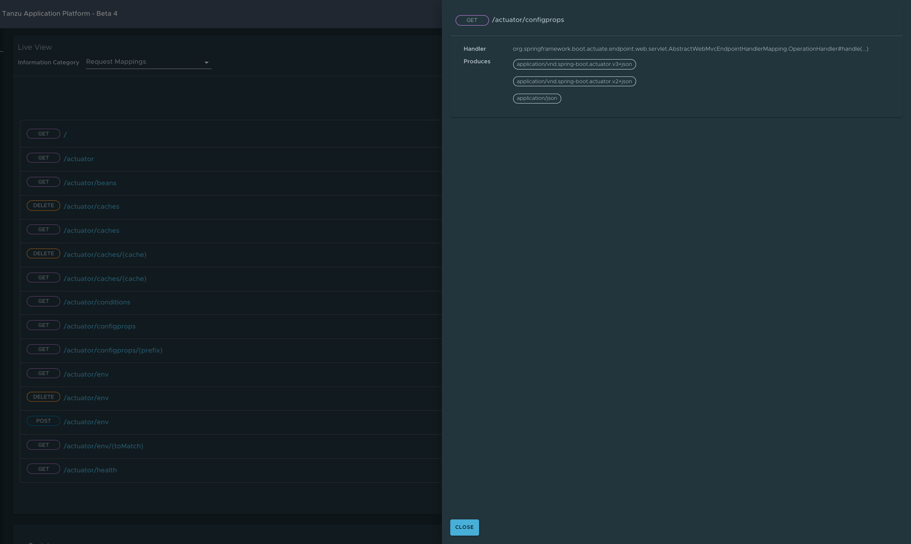 Capture d’écran de Application Live View montrant la page Mappages de requêtes avec un volet superposition fournissant plus d’informations sur une requête spécifique.