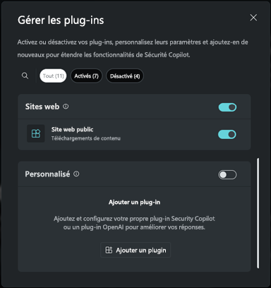 Capture d’écran de la section Personnalisée du plug-in.