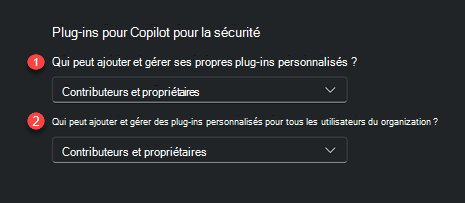 Capture d’écran des options de contrôle de plug-in.