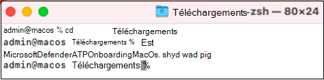 Capture d’écran montrant les deux fichiers de téléchargement.