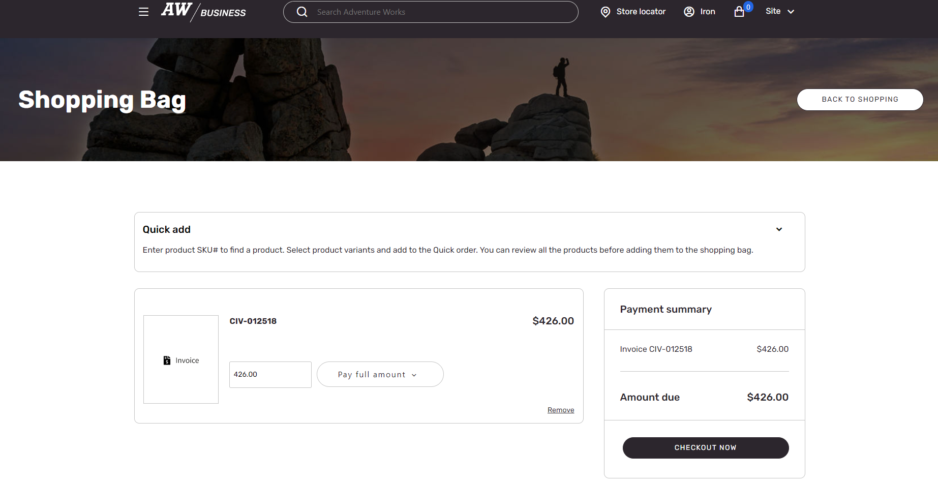Capture d’écran de la page Panier sur un site web B2B affichant une facture prête pour le paiement.