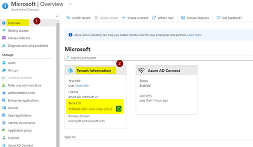 Microsoft Entra ID Tenant Information.
