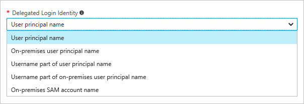 Capture d’écran montrant les options de liste déroulante Identité de connexion déléguée.