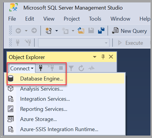 Capture d’écran montrant où sélectionner Moteur de base de données Microsoft SQL Server dans le menu Se connecter.