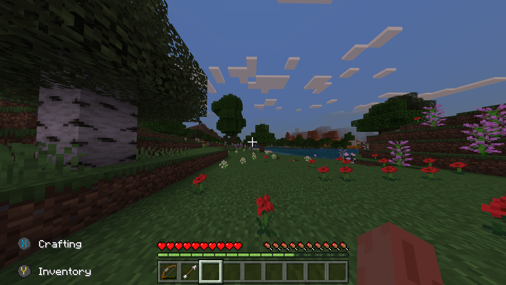 Minecraft screenshot with wide field of view creating a "fishbowl" effect stretching all things in view near edges of the screen. A tree can be seen on the left, some plants on top of a ridge to the right, and numerous red and white flowers dispersed in the middle field of view.