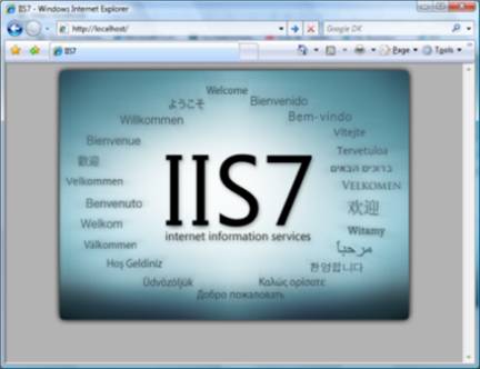 Capture d’écran du navigateur web Internet Explorer. L’hôte local de barre oblique du signe deux-points U L L h t t p est écrit dans le navigateur.