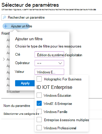 Capture d’écran montrant le catalogue de paramètres lorsque vous filtrez la liste des paramètres par édition Windows dans Microsoft Intune et Intune centre d’administration.