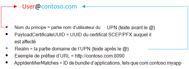 Nom d’utilisateur iOS/iPadOS Attribut SSO dans Microsoft Intune