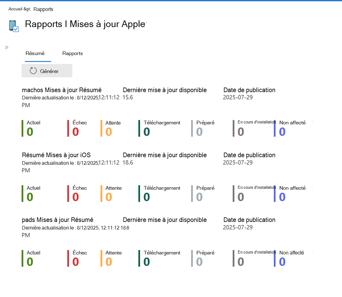 Capture d’écran montrant la vue Résumé de la mise à jour logicielle Apple.