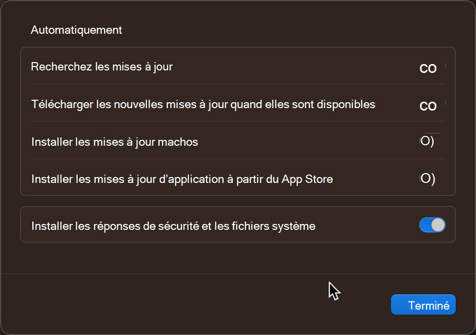 Paramètres et contrôles de mise à jour par défaut du système d’exploitation sur un appareil MacOS Apple.