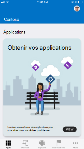 La capture d’écran montre l’application Portail d’entreprise pour iOS/iPadOS après la mise à jour, Applications.