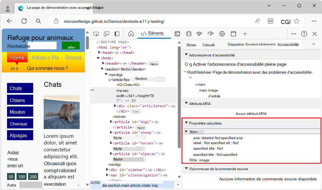 La section « Propriétés calculées » de l’onglet Accessibilité