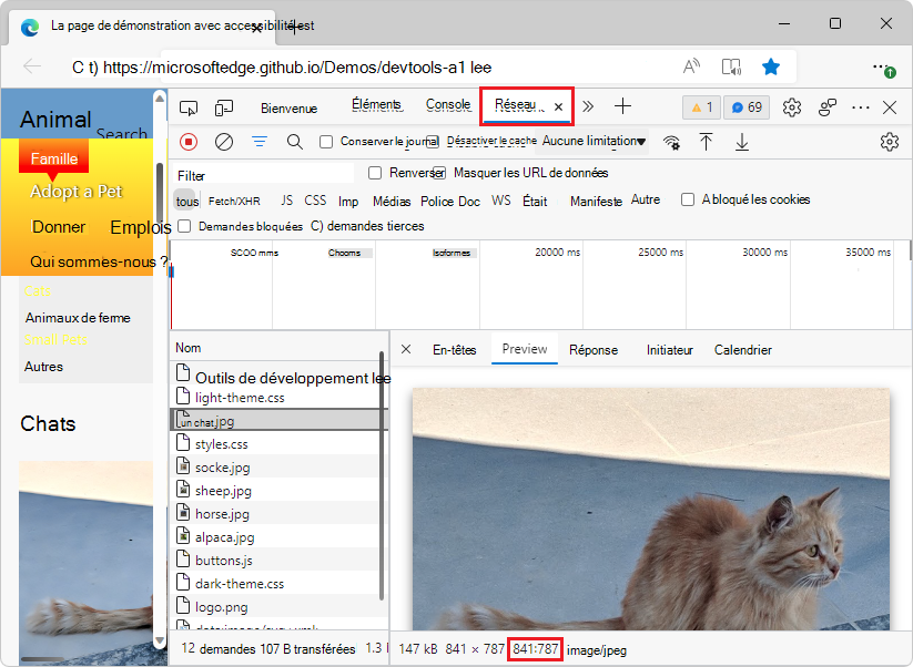 Informations sur les proportions de l’image dans l’outil Réseau
