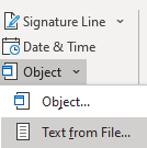 Capture d’écran de l’option Texte d’un fichier.