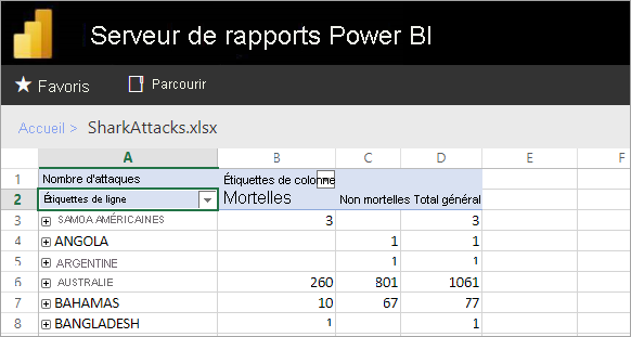 Excel reports viewed from the report server web portal