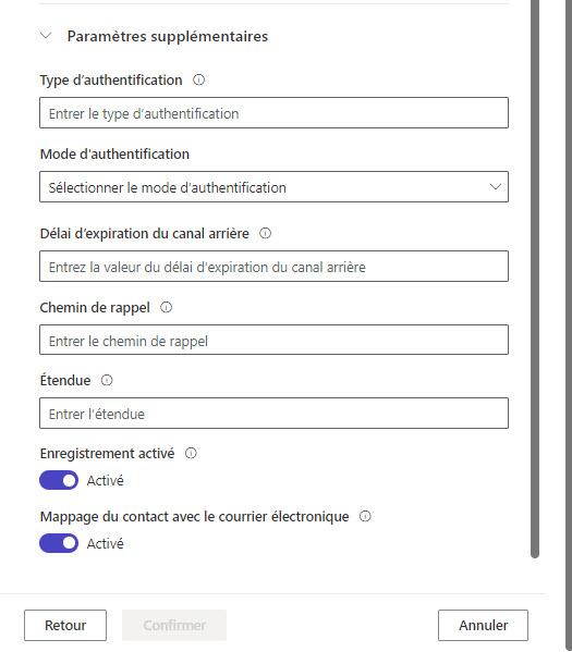 Capture d’écran des paramètres supplémentaires facultatifs pour les fournisseurs OAuth 2.0.